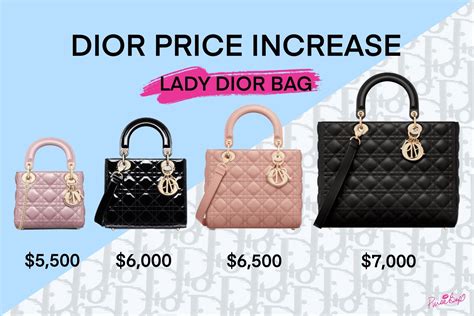 how much is the dior bag|Dior bag price list.